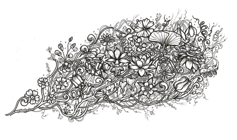 Flowers black and white illustration