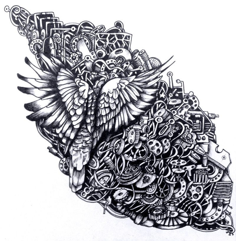Parrot doodle illustration