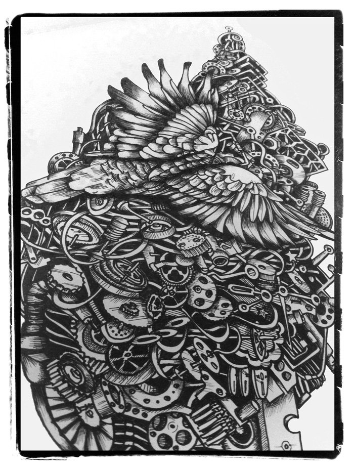 Parrot doodle illustration
