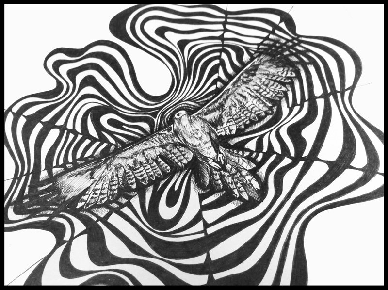 Eagle with swirls