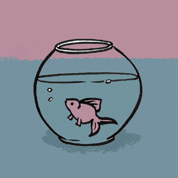 Fish in a fish bowl